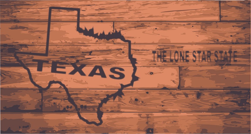 Texas state